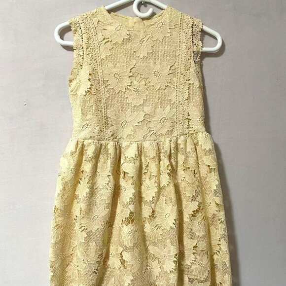 Girls Birthday Wedding & Flower Sleeveless A-Line Lace Party Dress  (11/12Years） - Picture 1 of 12
